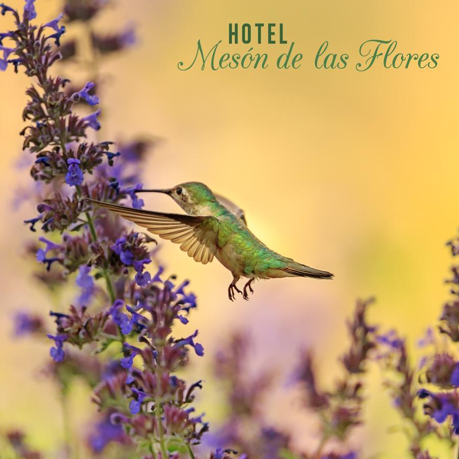 Hotel Meson De Las Flores Armenia  Ngoại thất bức ảnh