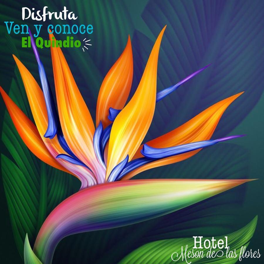 Hotel Meson De Las Flores Armenia  Ngoại thất bức ảnh